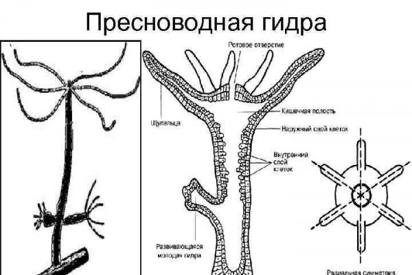 Как зайти на кракен через айфон